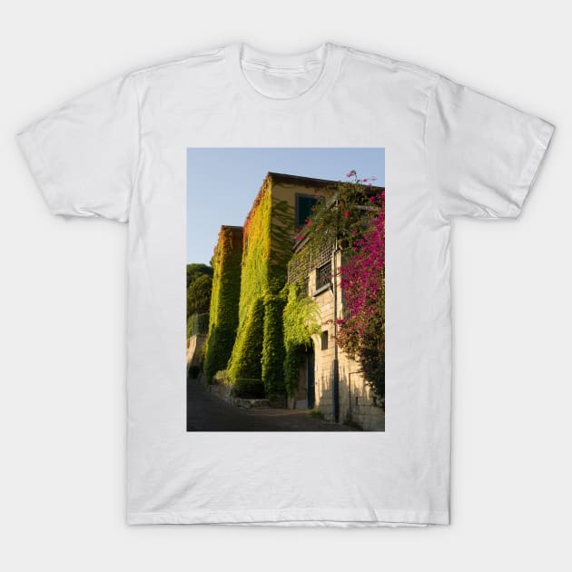Colorful leaves on house walls T-Shirt by Parafull